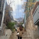 프레누 이미지