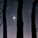 (주)백두산천지인 - 구리시 | (주)백두산천지인