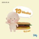 나의발톱일기 | [주수일기] 19주~21주 증상&초음파 / 포항여성병원 1차 정밀초음파 후기 / 이때 꼭 알아야 할 것들