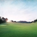 스카이뷰 이미지