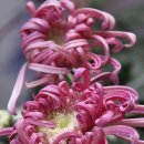 구름에 달가듯이 이미지