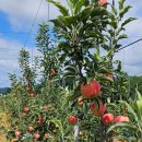 모싯골농장 이미지