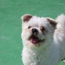 청아 뉴스1
