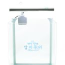 필그린인테리어 이미지