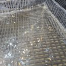 ECO CAR SERVICE | 수지 에바크리닝 bmw 640d 에어컨 냄새 탈취