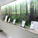 하나한의원 이미지