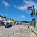 독도블루스 이미지