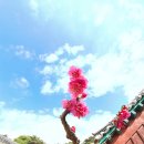 한림종합정비 이미지