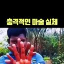 [정보] 김현정 CBS 뉴스쑈앵커 청와대 언론보좌관 등용 조율 중 이미지