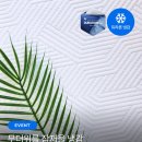 한일카에어컨 | 한일카페트 💙스노우 러그 &amp; 바디필로우 체험단 모집💙 (04.18~04.24)
