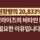 B12-2 이미지