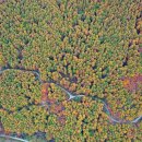 황금약수탕 이미지