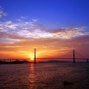 바다가 좋아 이미지