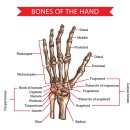 경희바른한의원 이미지