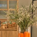 시티농장 이미지