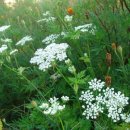 성주농원 이미지