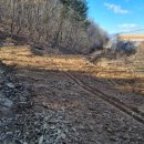 세림농장 이미지