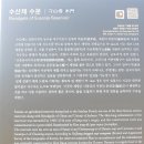 씨유 밀양사포공단점 | [밀양명소] 가족나들이하기 좋은 수산제역사공원