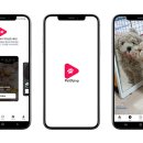 주식회사 두잉 이미지