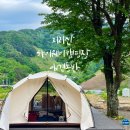 경남 산청 지리산하이웨이 캠핑장 C5번 사이트 솔직후기(애견동반 캠핑장)