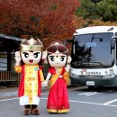 인제대학교(1166) 이미지