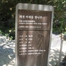 비래골길 이미지