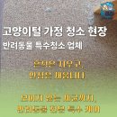 카크린 | 고양이냄새청소업체, 거주 중 집 전체작업 후기 멍크린