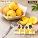 그린농장 - 구리시 안골로57번길 36-8 | 송동농장 그린황도 14과 국산복숭아 택배 후기