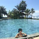 비치 | 나트랑 알리부리조트 수영장, 프라이빗 비치, 비치 바 후기