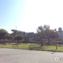 곡성문화원 이미지