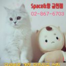 태형팰리스 | 구로구커튼 인테리어의완성 태형팰리스 다녀왔어요~