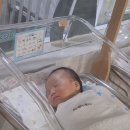 푸른세탁 | #8.푸른잎 산후조리원 8~9일차 후기/빨래 서비스·신생아 촬영·제대탈락