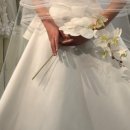 6826 | [드레스] 쉬인 SHEIN 웨딩 촬영드레스 구매 후기, 55만원 쉬인깡 (feat. 쉬인 무료반품 팁)