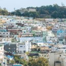 동대신2동주민센터 | [부산 워케이션]부산 서구 가볼만한 곳 I 닥밭골벽화마을 I 비석문화마을 I 암남공원 I 송도해수욕장