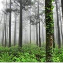 여름. 제주 이미지