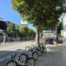 일호약국 이미지