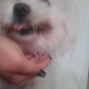 몽개몽개 이미지