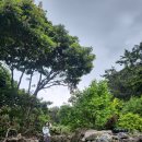 서촌마을회관 이미지