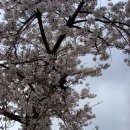 바다(家) 이미지