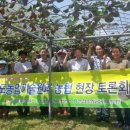 전라남도 농업기술원 과수연구소 이미지