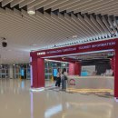 터미널관광나이트 이미지