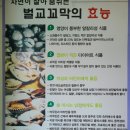 반야월벌교꼬막 이미지