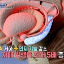 기억력 감퇴를 막아, 치매를 무찔러라! 이미지