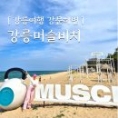 강릉여행 강문해변 머슬비치 위치 이용시간 야외헬스장 강릉가볼만한곳