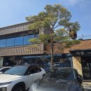 푸른들판로 | 화성 매송면 야목역 근처 식물원카페 디안 베이커리 후기