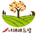 서해팜