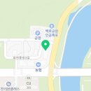 그레이프산부인과의원 이미지