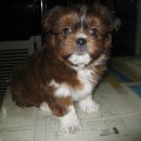 인왕초등학교 이미지