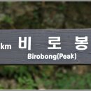 황골로 이미지