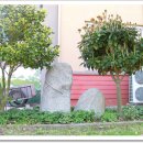 외연도4 이미지